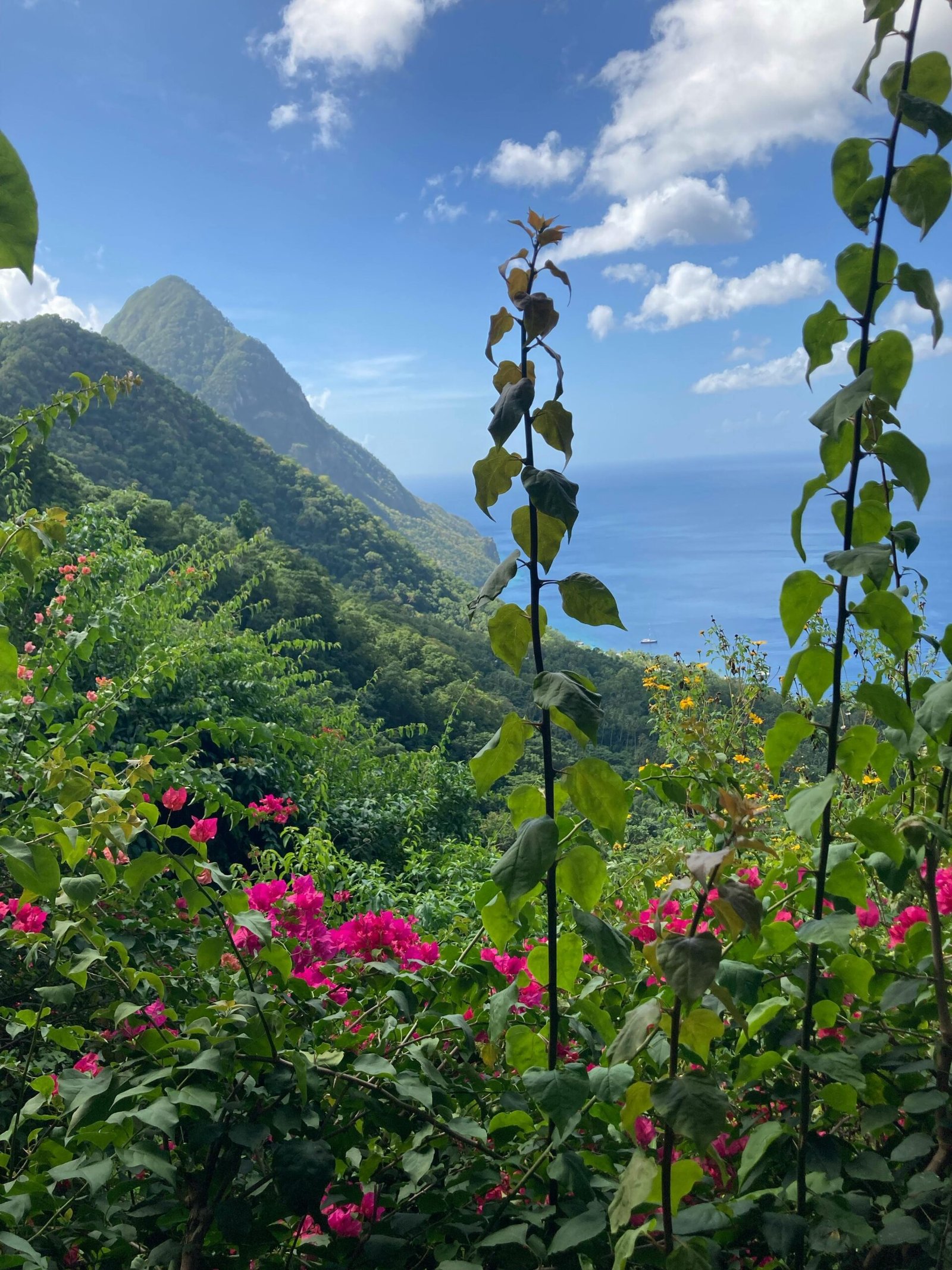 Aerial view of the Pitons, Saint Lucia